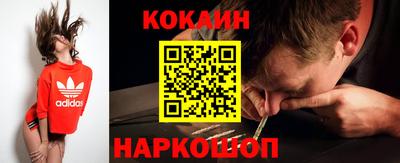 спиды Кингисепп