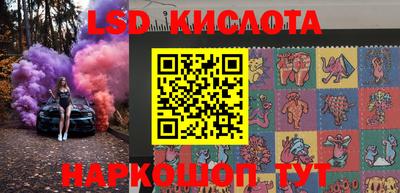 спиды Кингисепп
