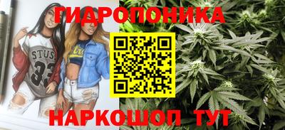 гашик Кимры
