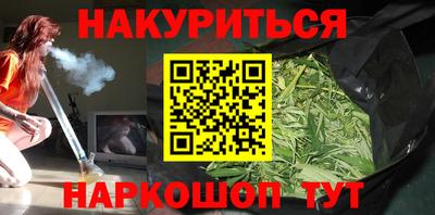 спиды Кингисепп