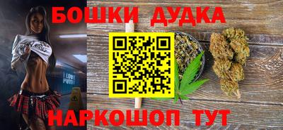 спиды Кингисепп