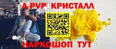 спиды Кингисепп