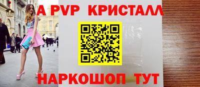 спиды Кингисепп