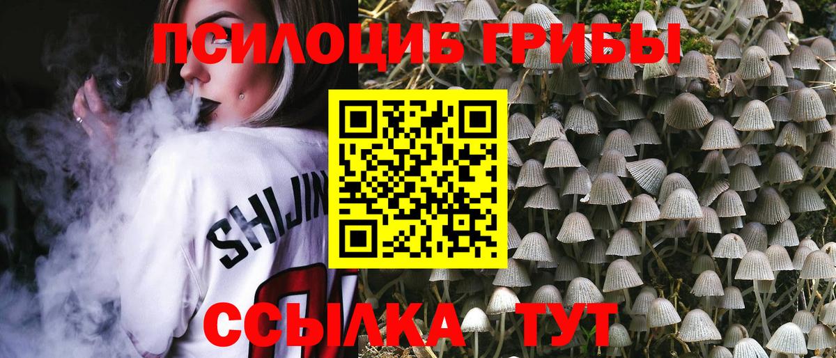 Псилоцибиновые грибы Psilocybine cubensis Пыть-Ях