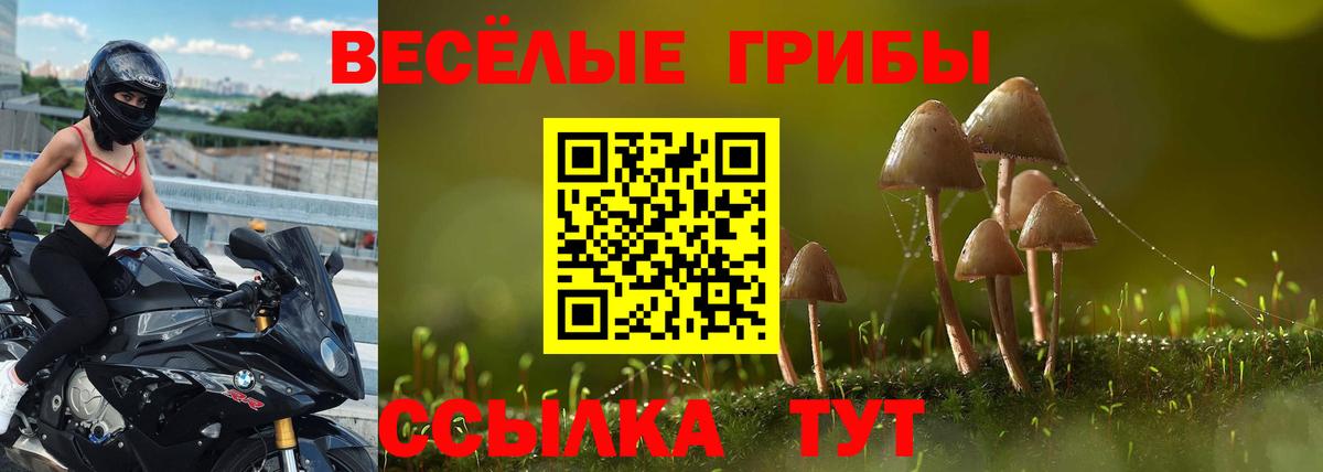 Псилоцибиновые грибы прущие грибы  Вход с VPN  Пыть-Ях 
